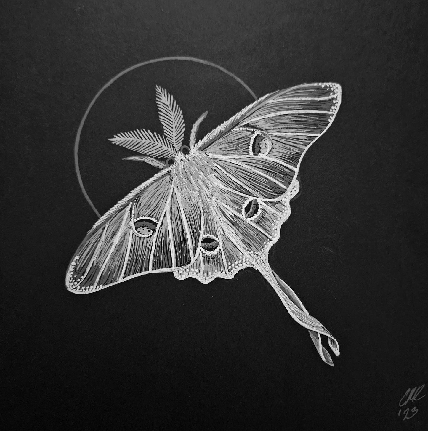 Lunar Moth Print