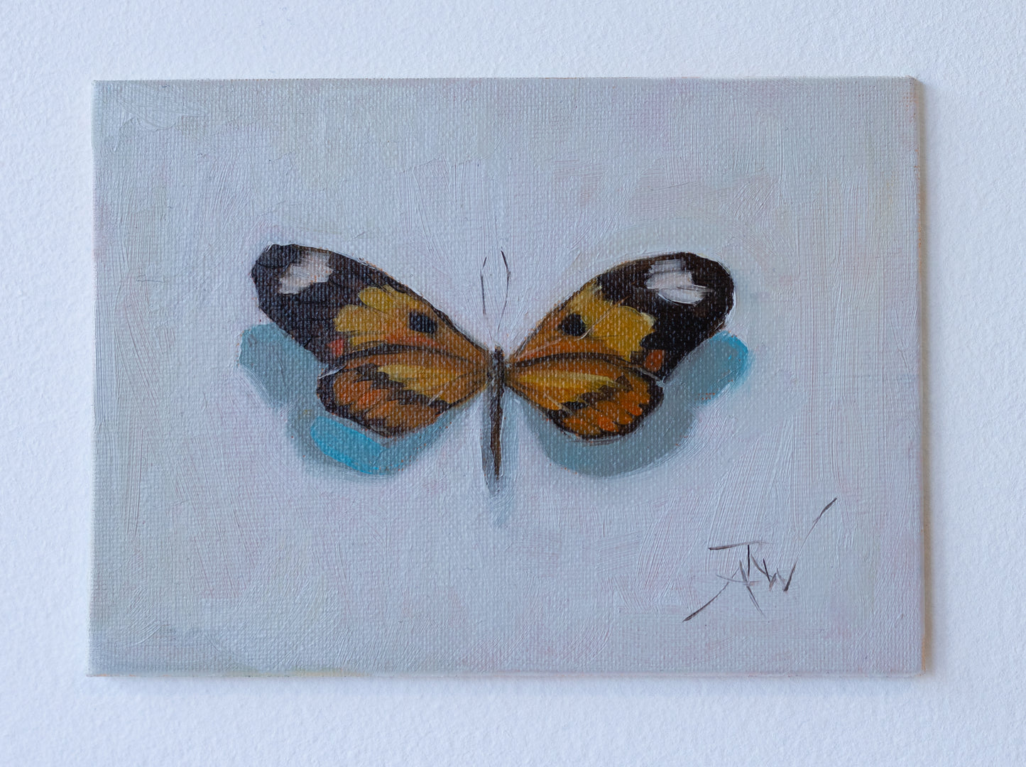 Dark and Orange Butterfly with White Spots