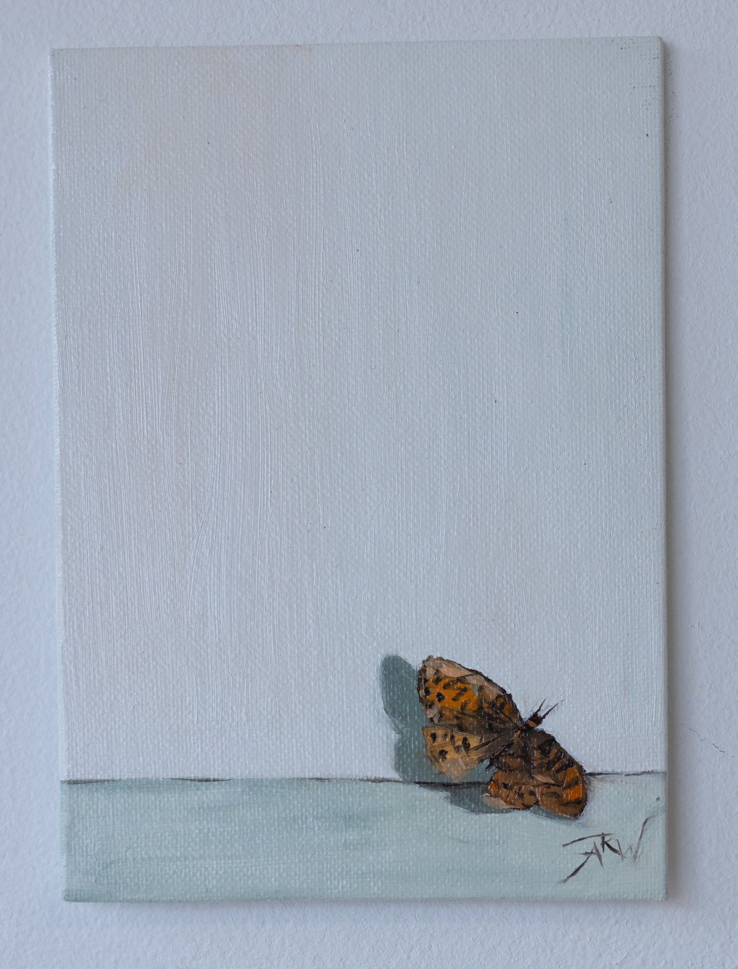 Moth