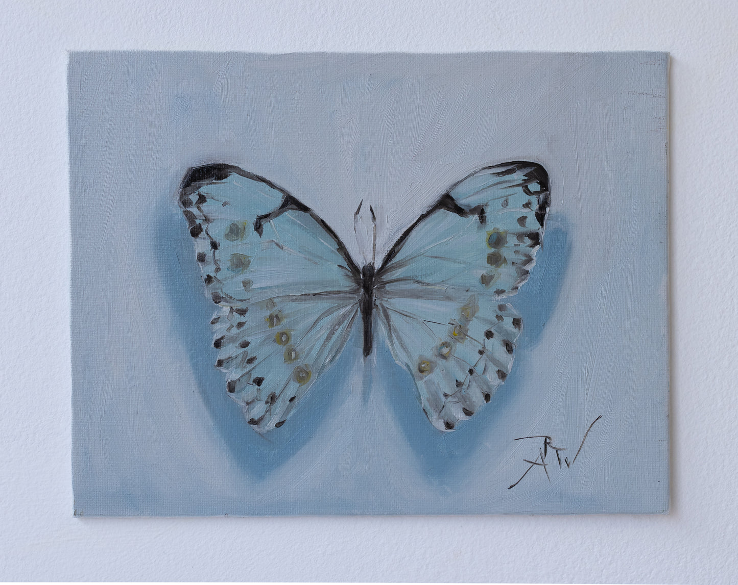 Light Blue Butterfly