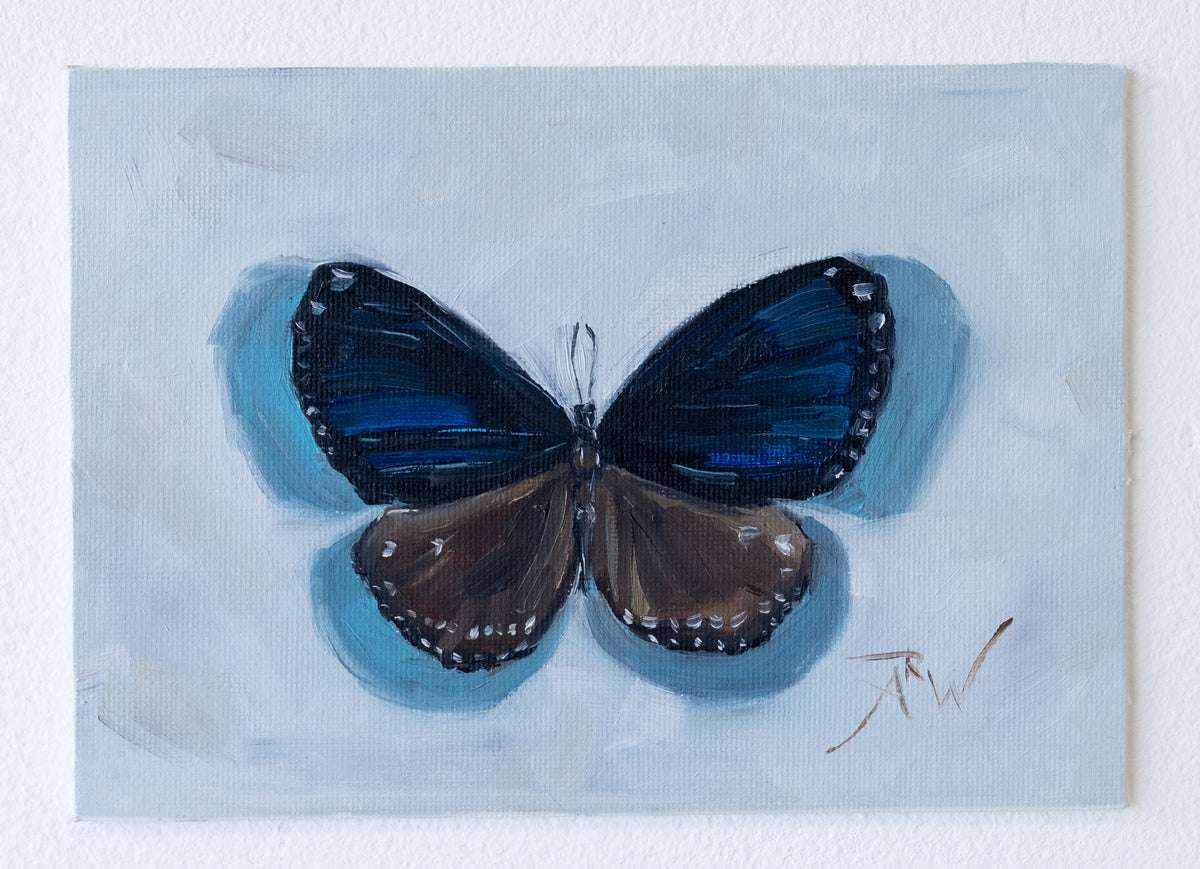 Blue and Black Butterfly by Anika Whittier