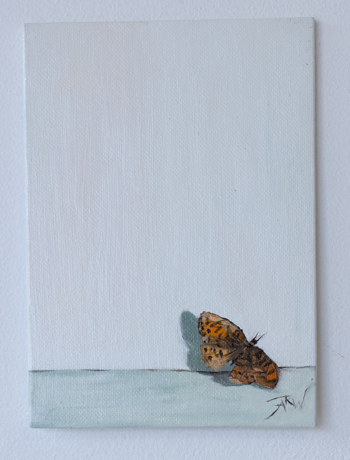 Moth by Anika Whittier