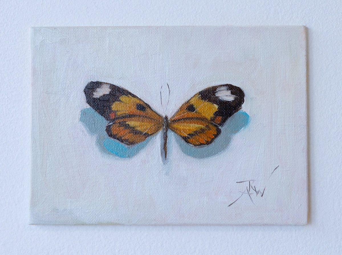 Dark and Orange Butterfly with White Spots by Anika Whittier