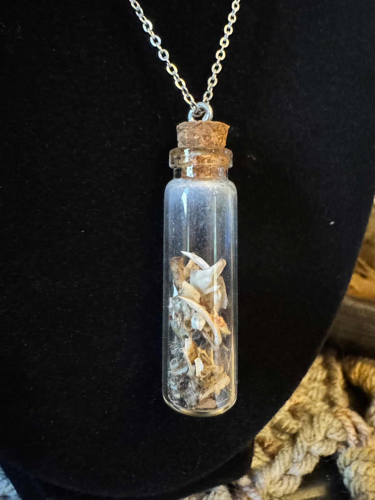 Mouse Bone Vial Necklace on Silver Chain