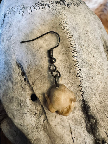 Single Skunk Bone Earring in Bronze