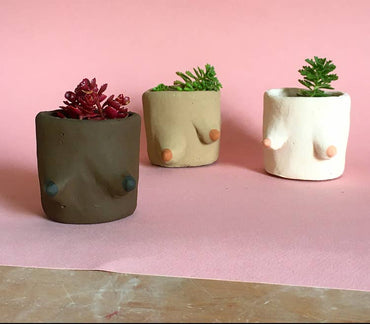 Painted Cement Boob Pots: Light Pink