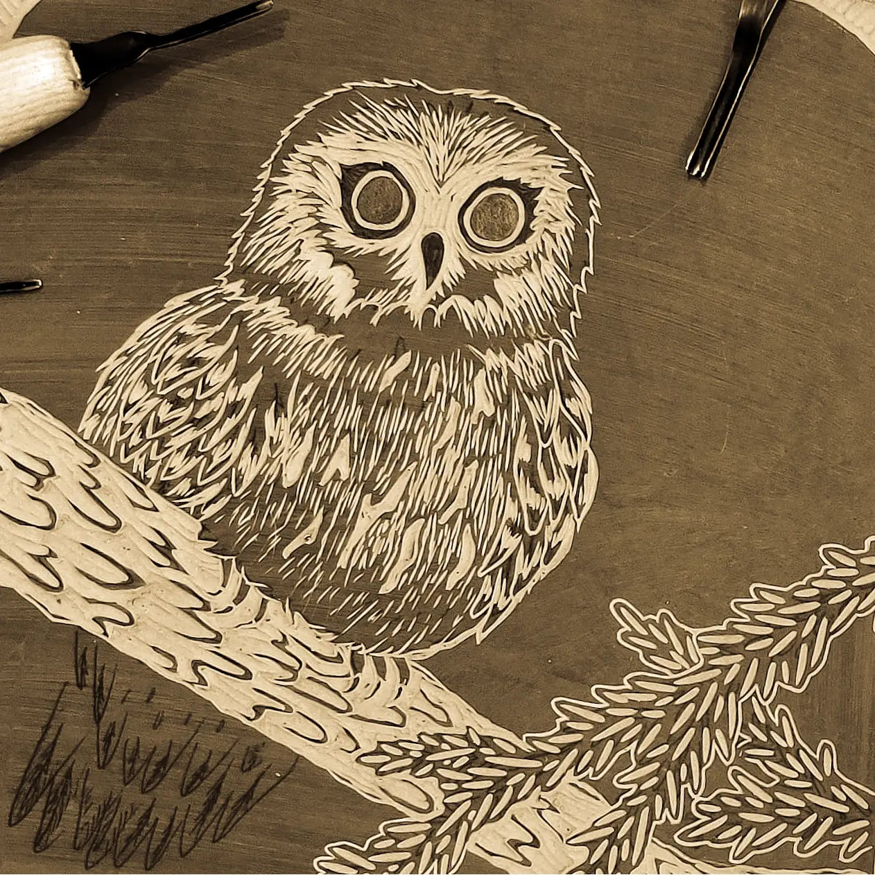 Big Mitten Linocuts - Saw-whet Owl