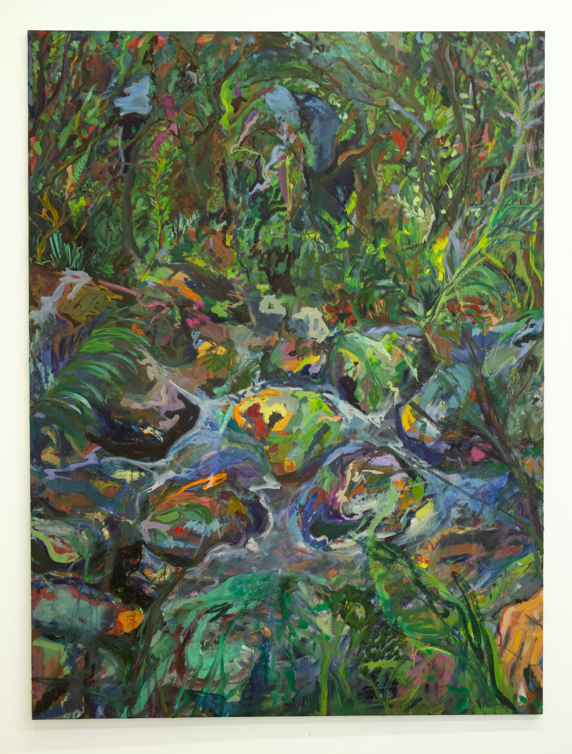 Virginia Jungle image 0