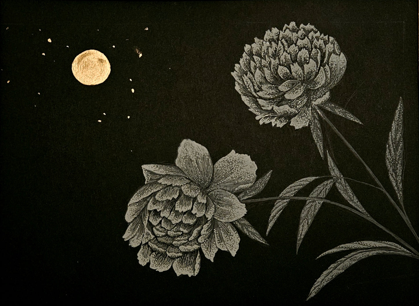 Moonlit Peonies