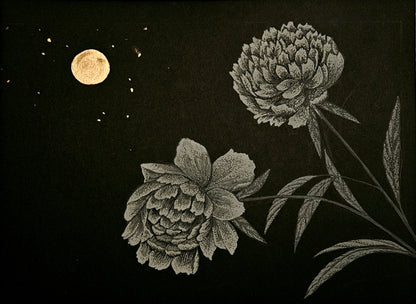 Moonlit Peonies