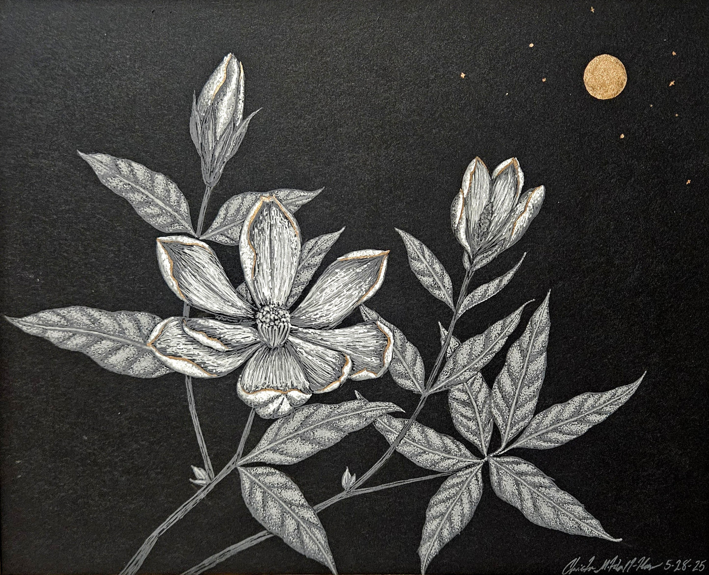 Moonlit Magnolias