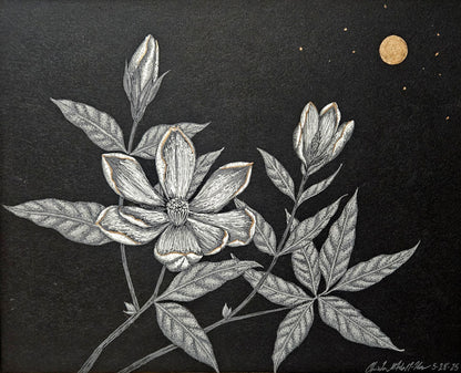 Moonlit Magnolias