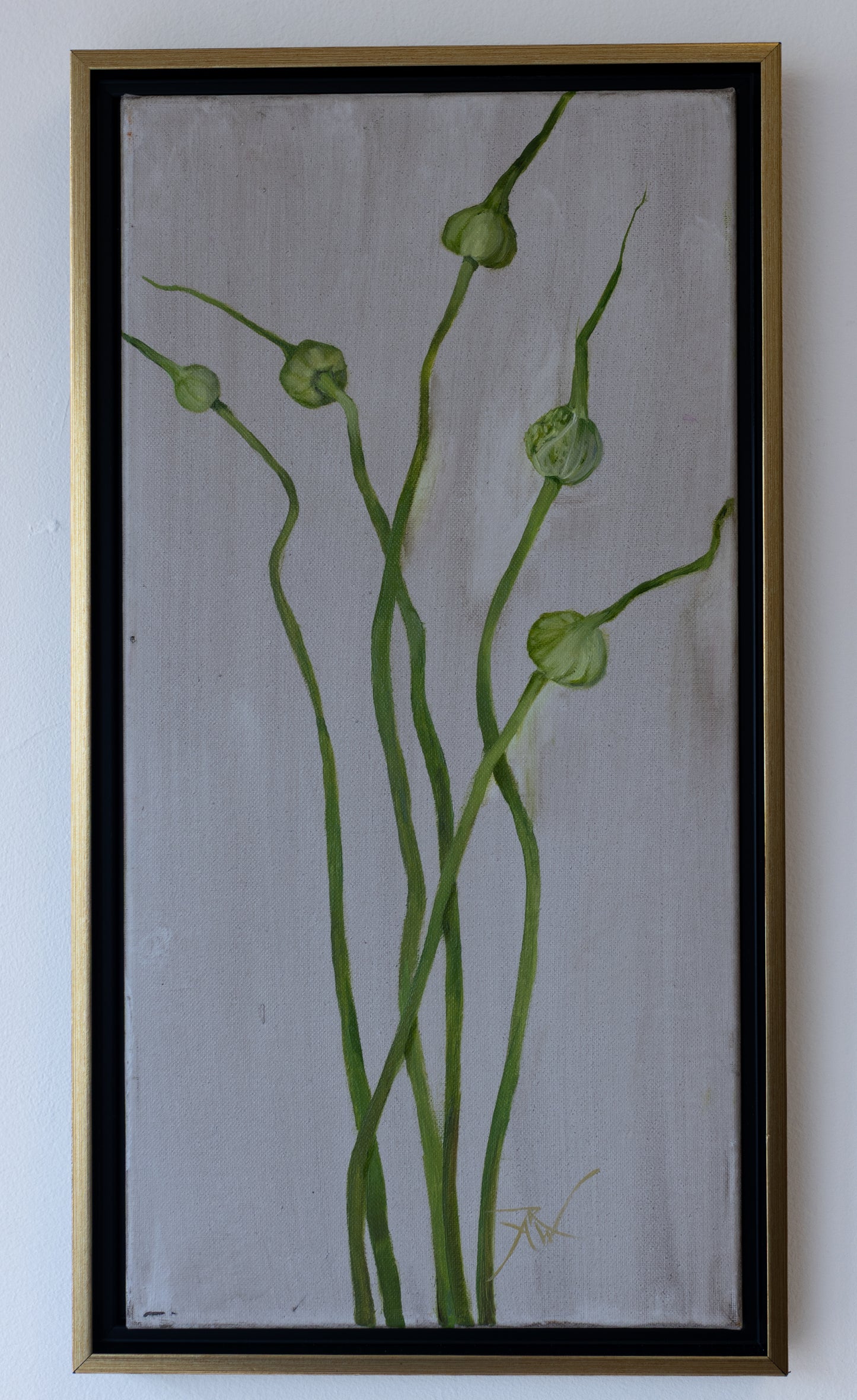 Garlic Scapes