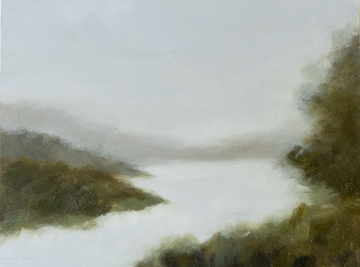 Foggy Cove