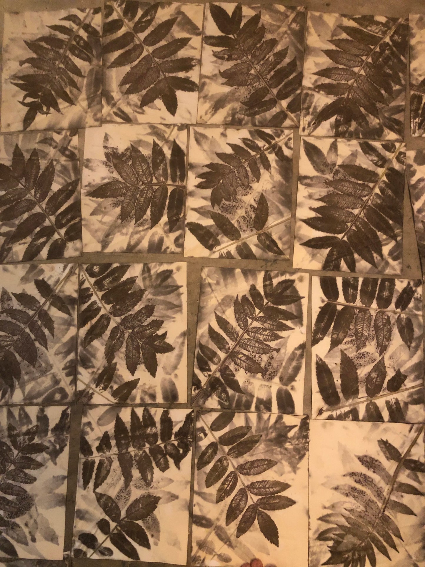 Eco Print Leaf Journal