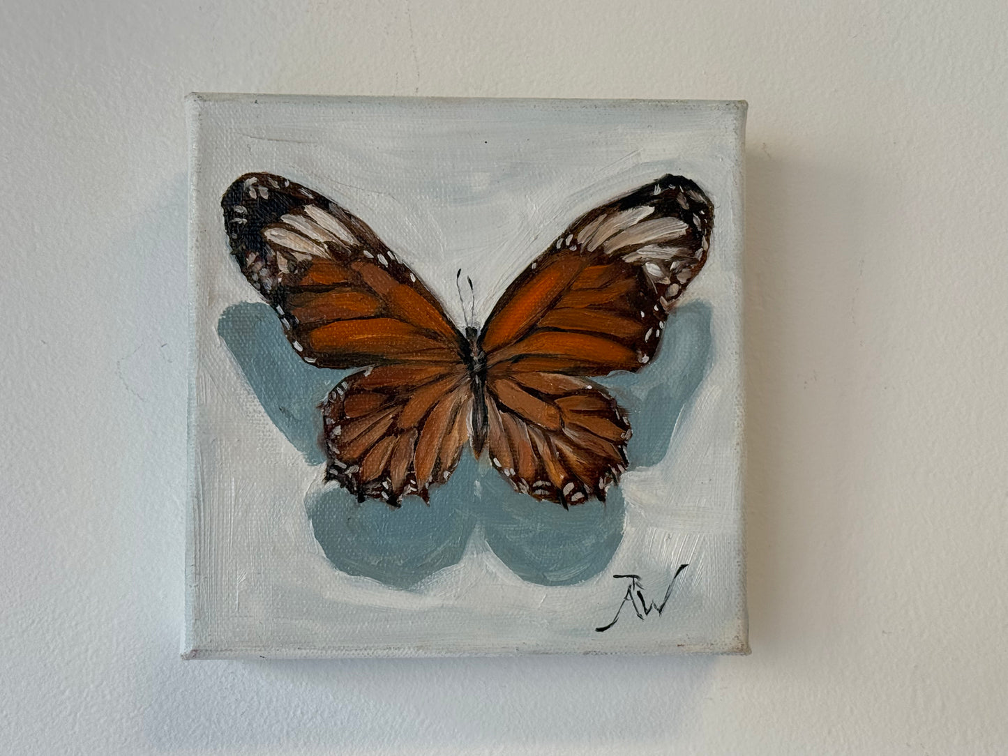 Small Butterfly
