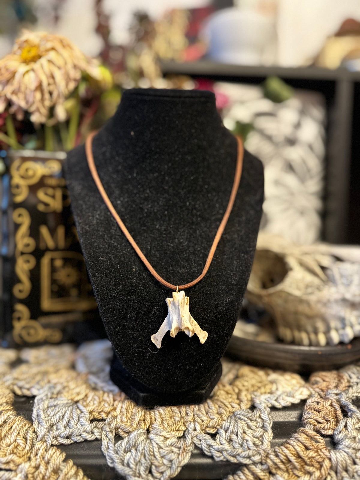 Raccoon Vertebrae Necklace on Leather Cord