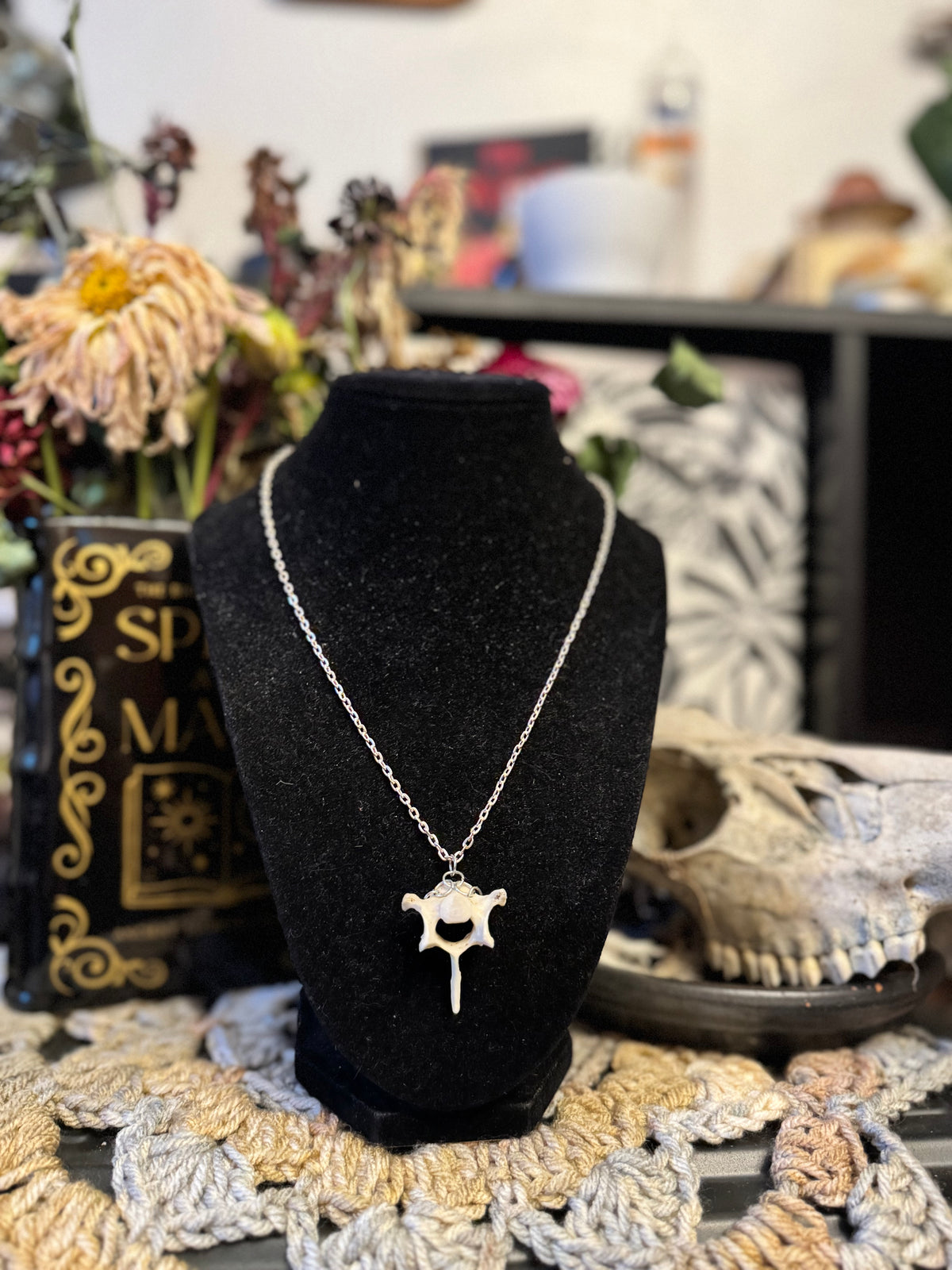 Raccoon Vertebrae Necklace on Silver Chain