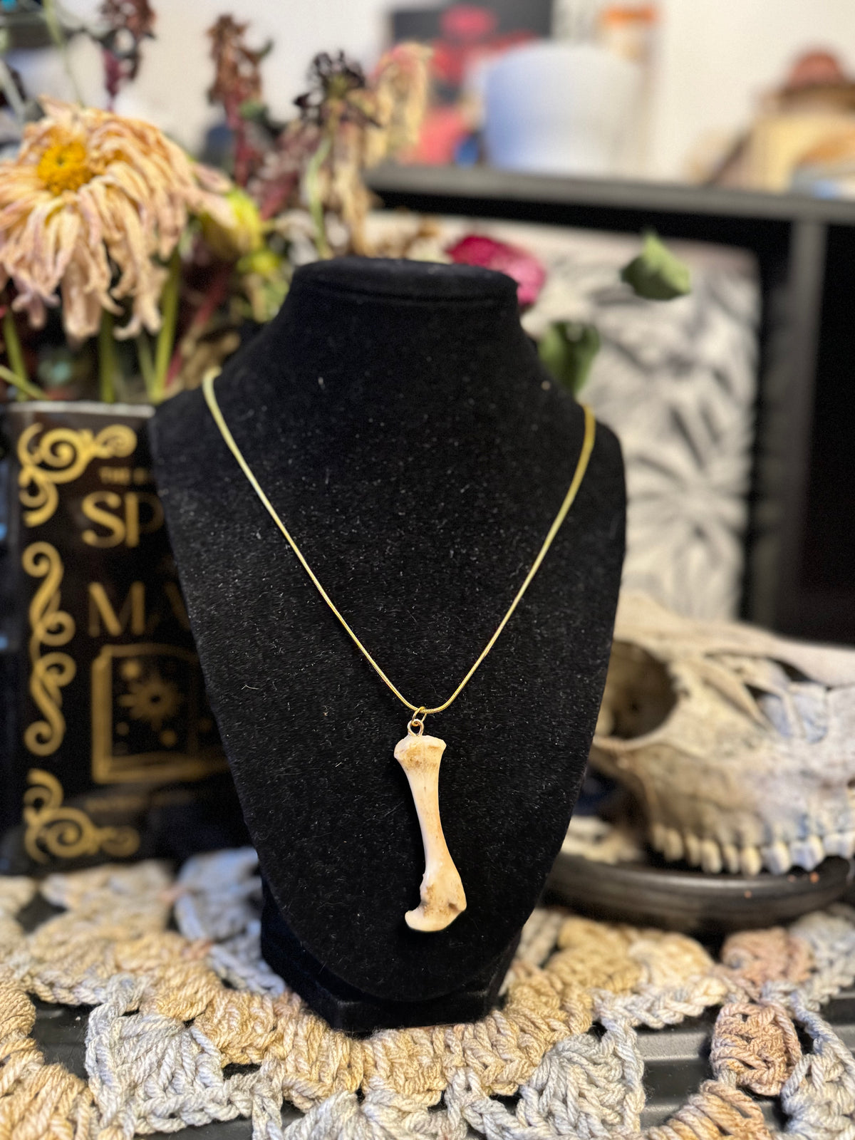 Skunk Bone Necklace on Gold Chain