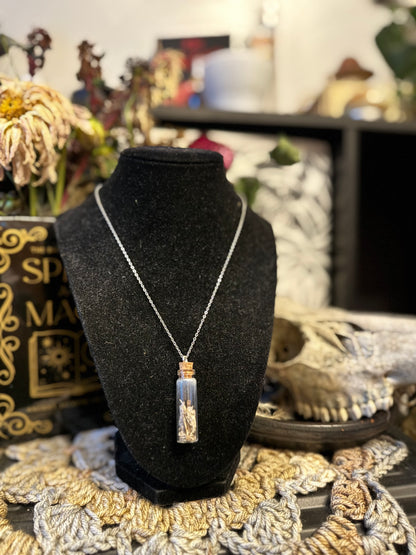 Mouse Bone Vial Necklace on Silver Chain