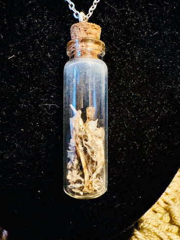 Mouse Bone Vial Necklace on Silver Chain