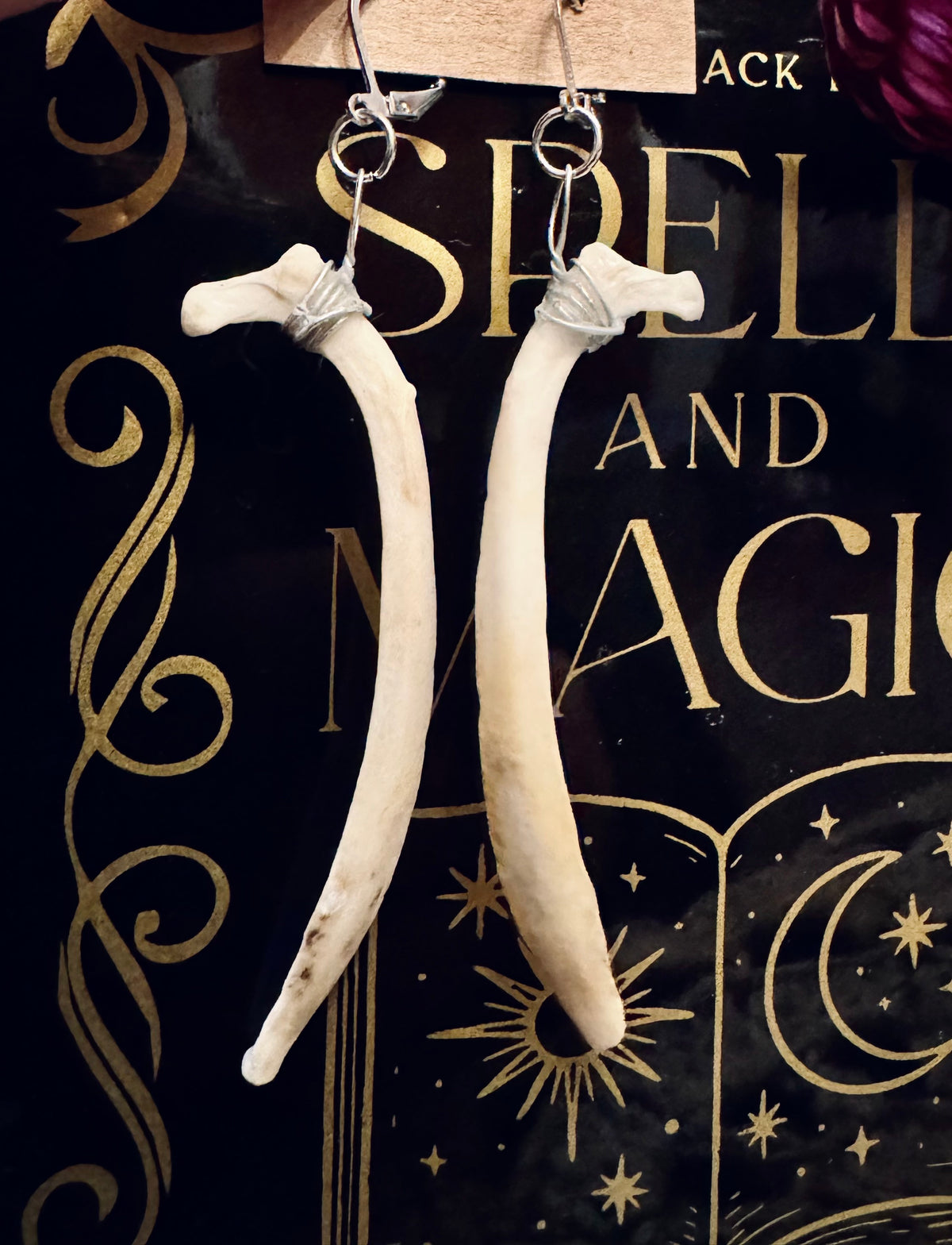 Raccoon Rib Bone Earrings in Silver