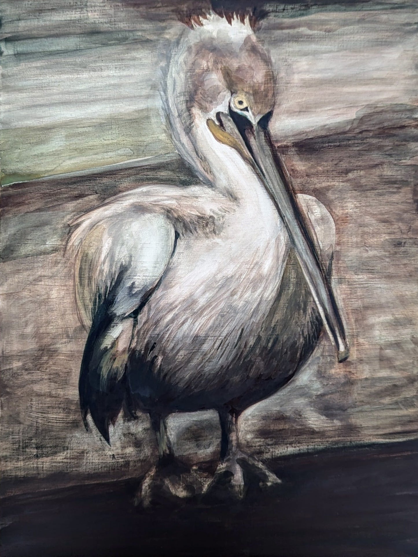 Pelican