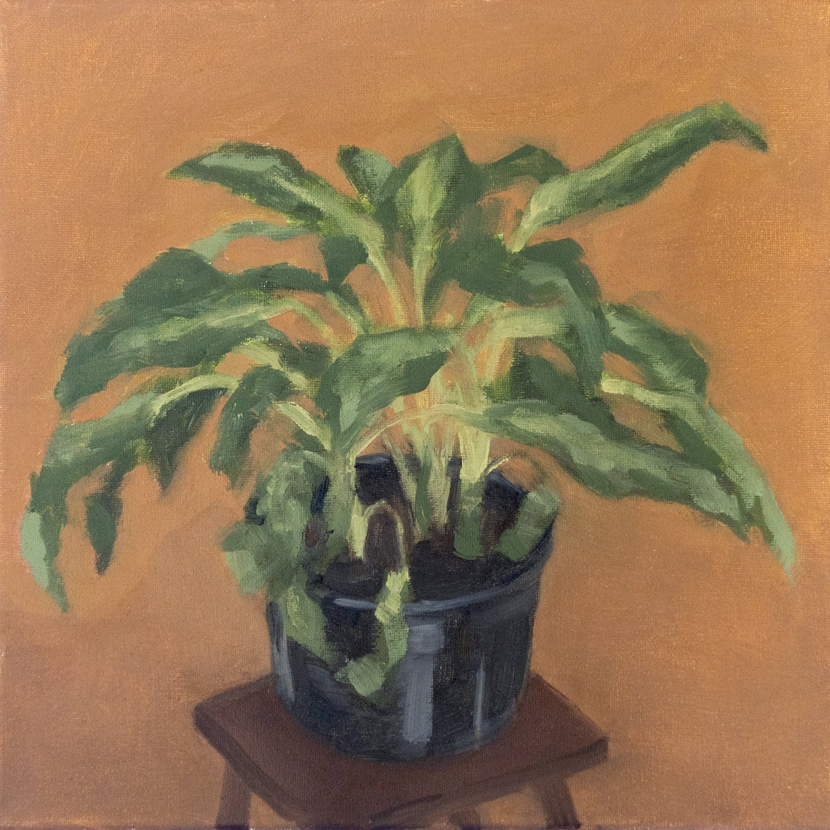 Plant Still Life