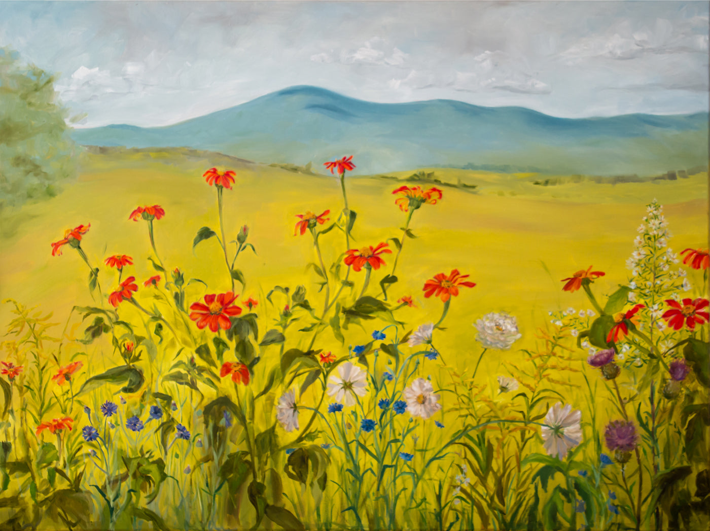 Tithonias and Blue Mountains