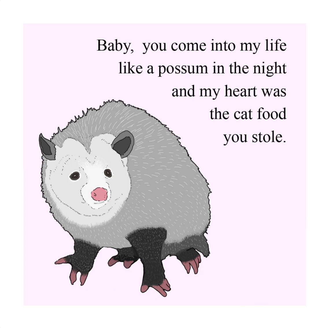 Possum Love by Little Bubby Child