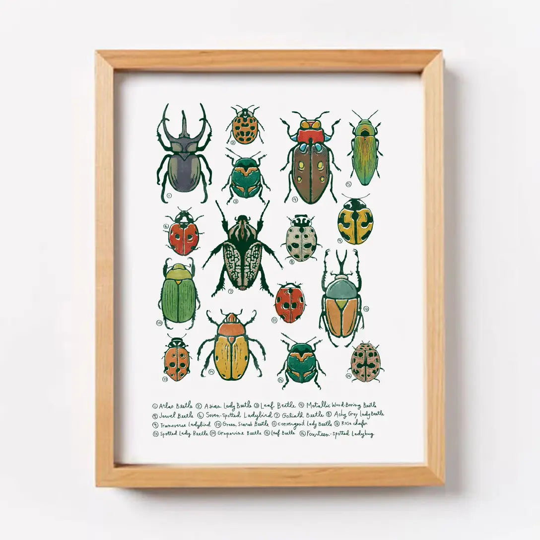 Beetles Wall Art Print