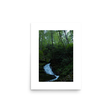 Virginia Jungle image 1