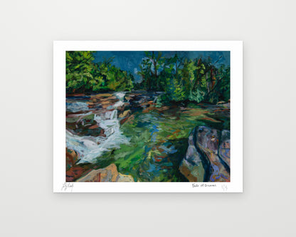 Falls of Dismal Limited Edition Print