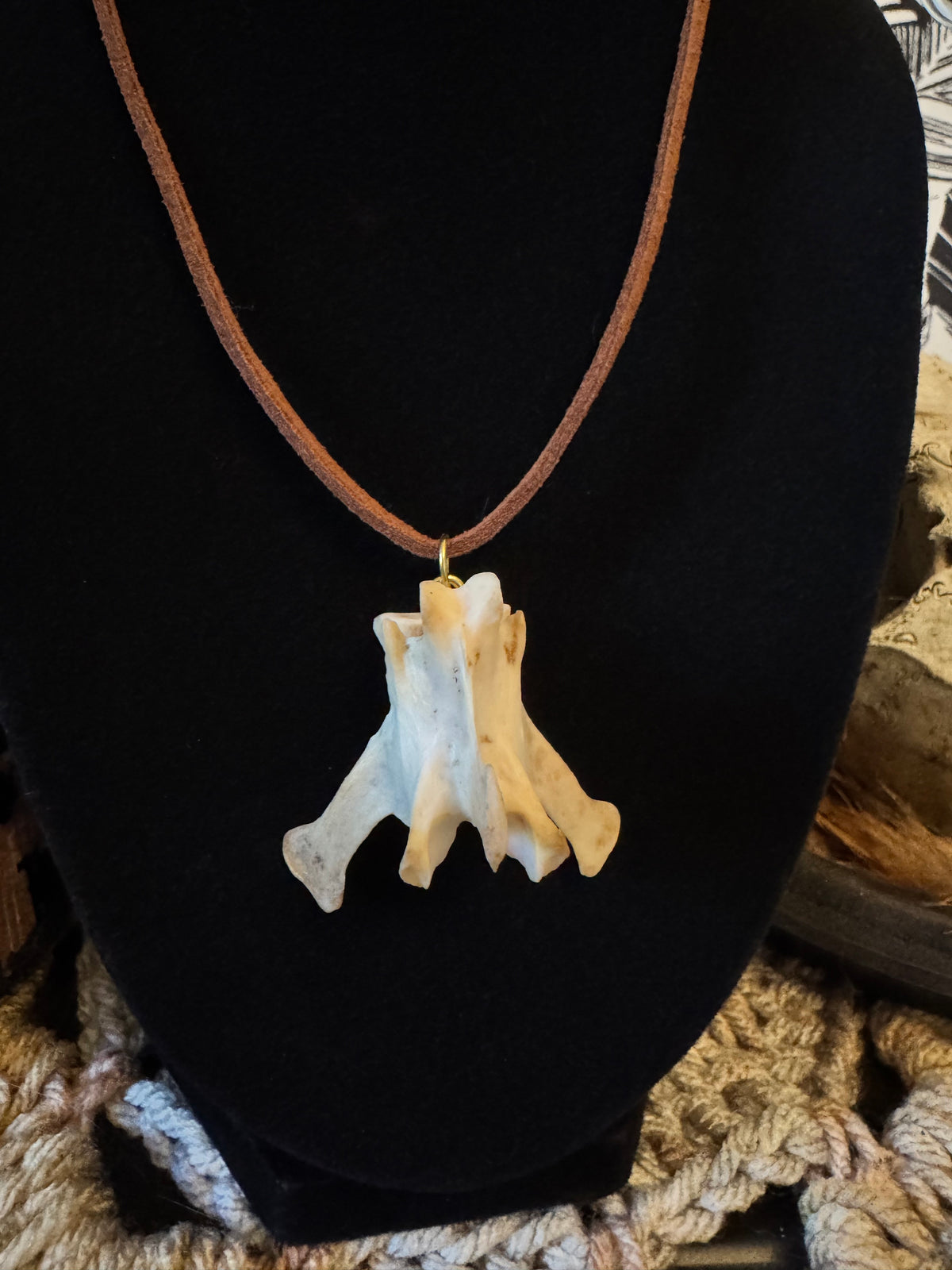 Raccoon Vertebrae Necklace on Leather Cord