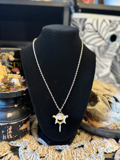Raccoon Vertebrae Necklace on Silver Chain