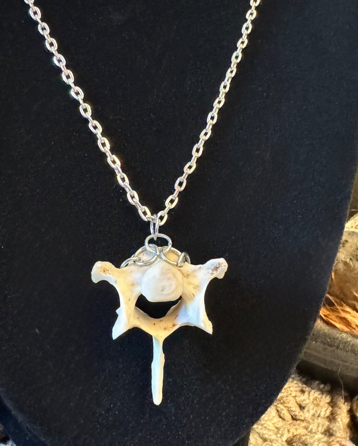 Raccoon Vertebrae Necklace on Silver Chain