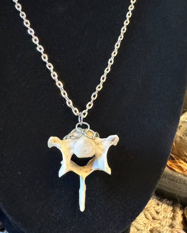 Raccoon Vertebrae Necklace on Silver Chain