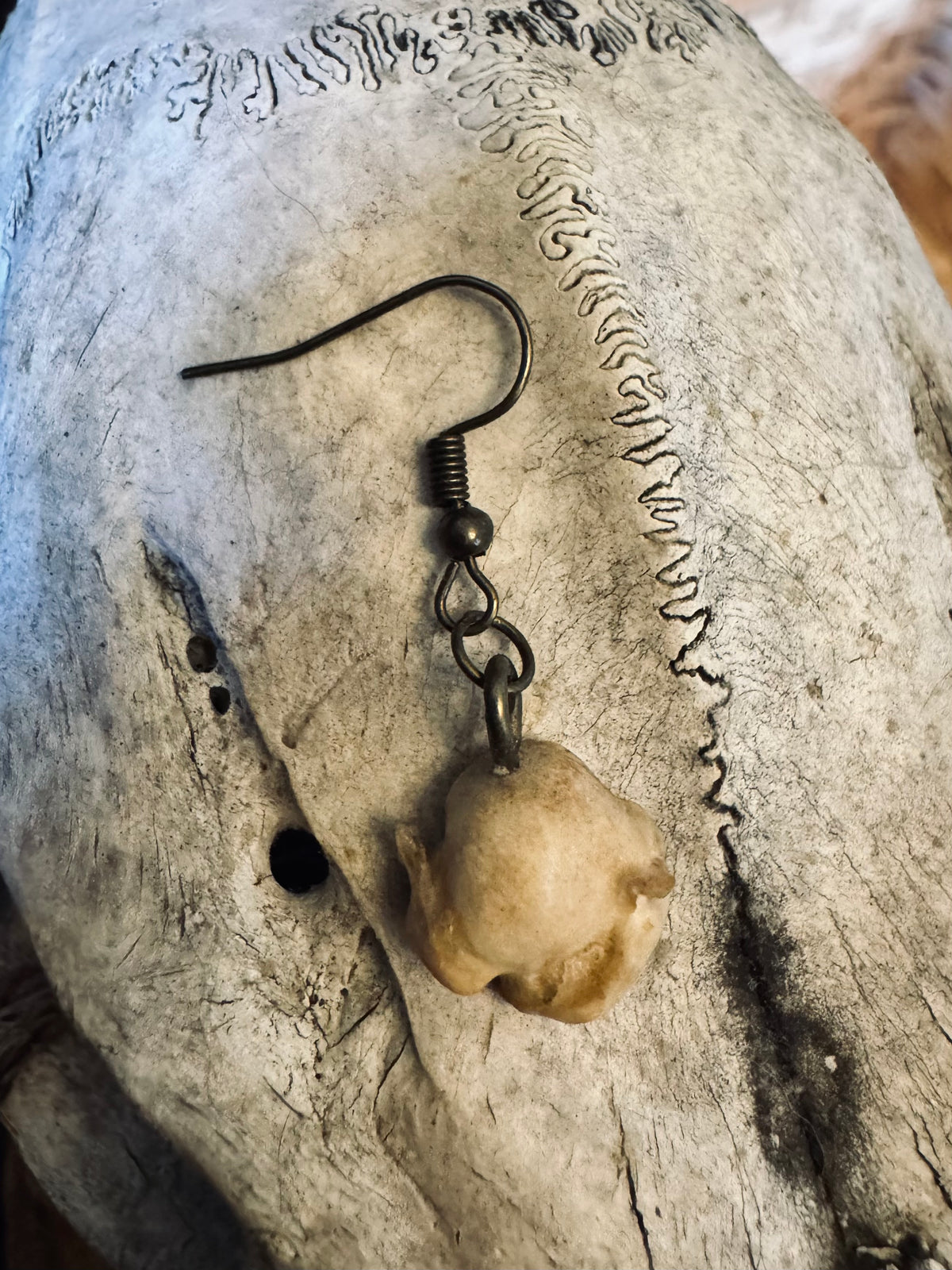 Single Skunk Bone Earring in Bronze