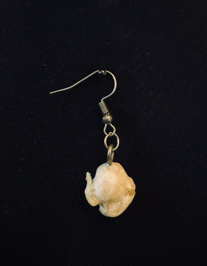 Single Skunk Bone Earring in Bronze