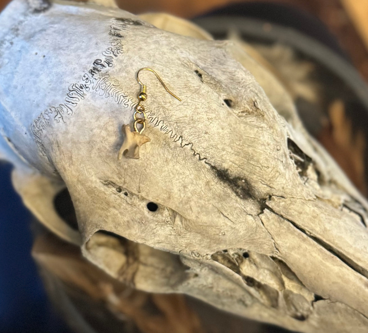 Single Skunk Vertebrae Earring in Gold
