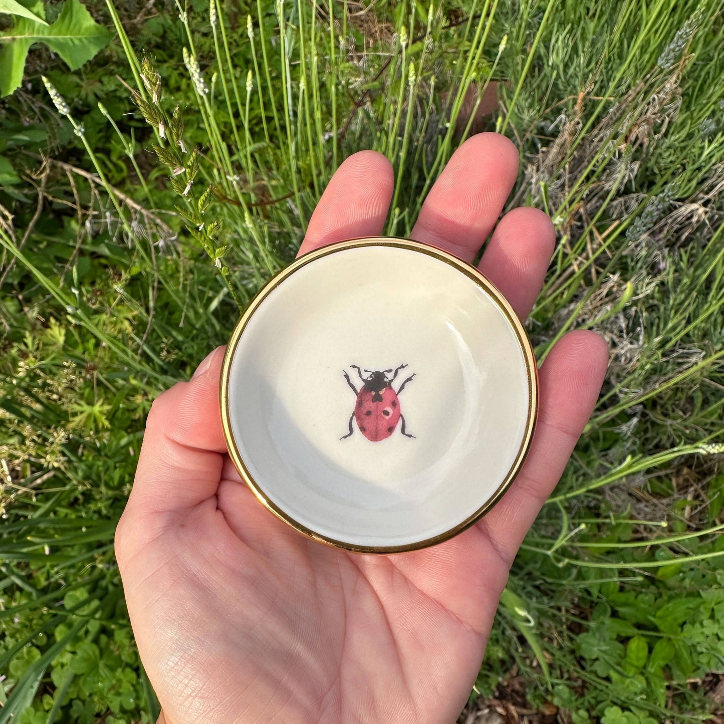 Apricity Ceramics - Ladybug Trinket Dish | Ring Dish