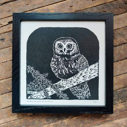 Saw-whet Owl Linoprint by Big Mitten Linocuts