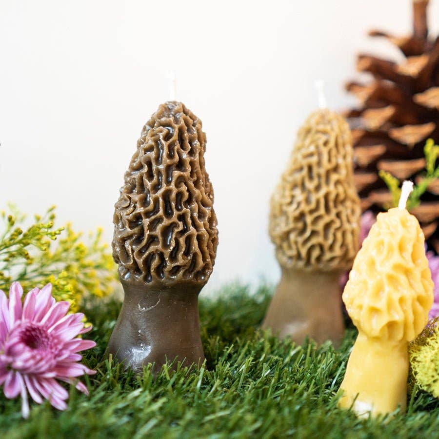 Beeswax Morel Mushroom Candle 2-pack: Yellow
