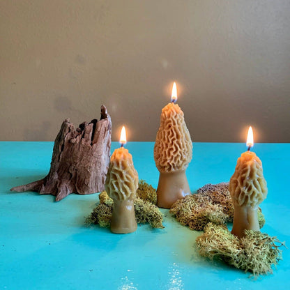 Beeswax Morel Mushroom Candle 2-pack: Yellow