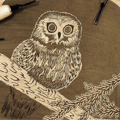 Saw-whet Owl Linoprint by Big Mitten Linocuts