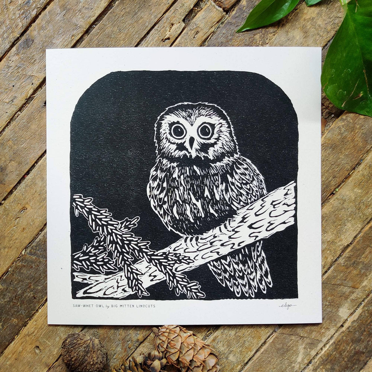 Saw-whet Owl Linoprint by Big Mitten Linocuts