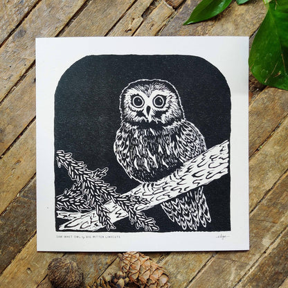 Saw-whet Owl Linoprint by Big Mitten Linocuts