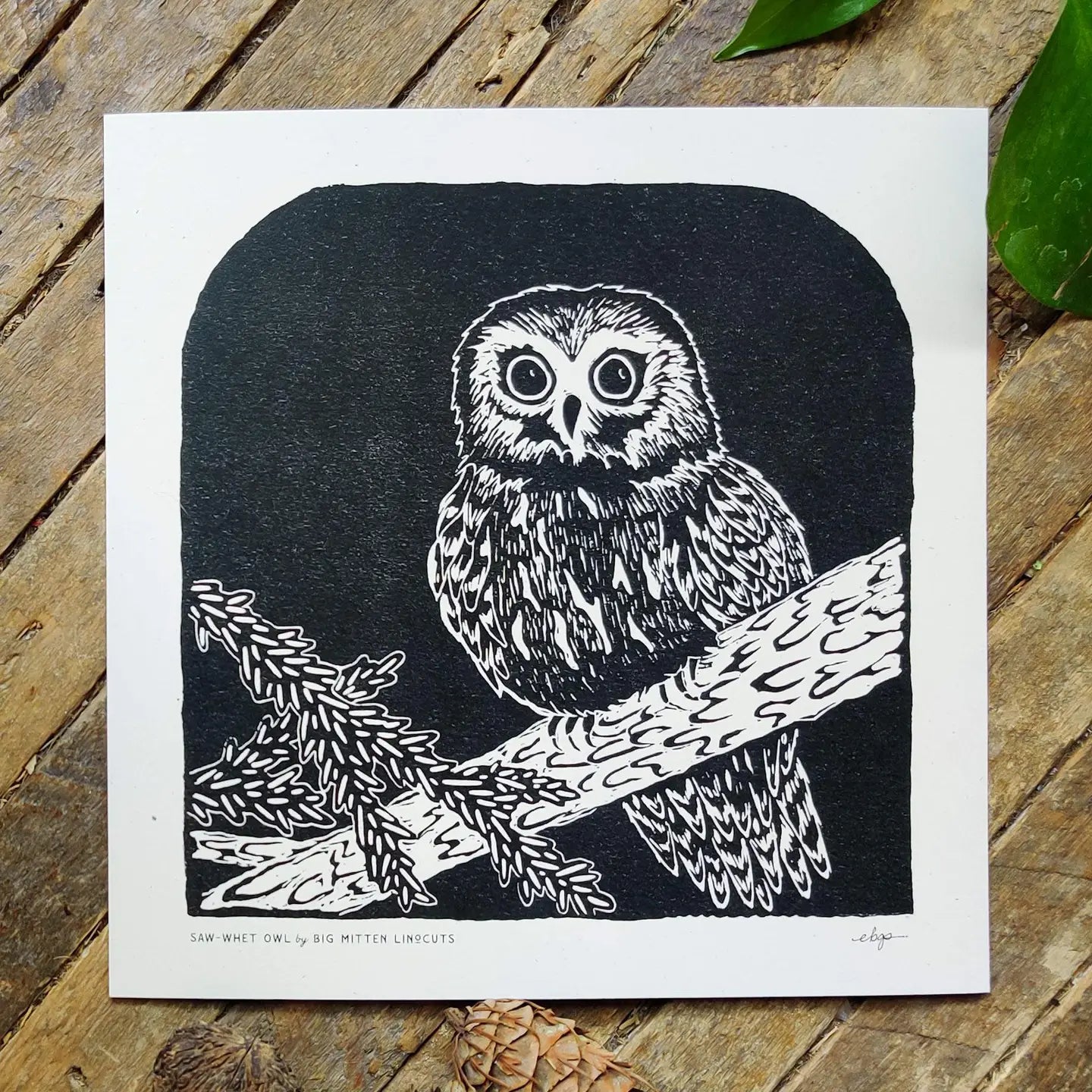 Big Mitten Linocuts - Saw-whet Owl