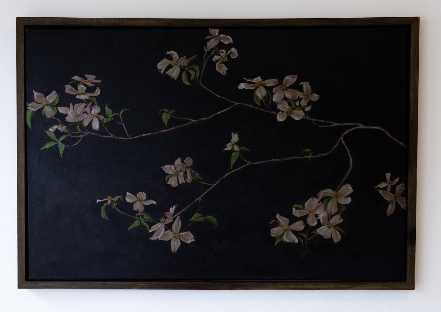 Spring Dogwoods