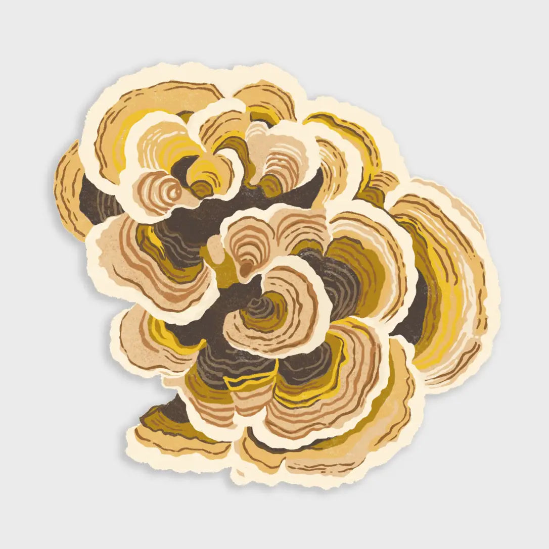 Flora & Fauna Paper Stickers